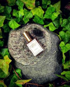 Colette JoAnne Bassett