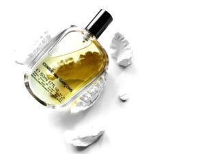 Comme des Garcons Comme des Garcons