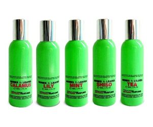 Comme des Garcons Series 1 Leaves: Shiso Comme des Garcons