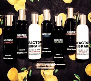 Comme des Garcons Series 2 Red: Palisander Comme des Garcons