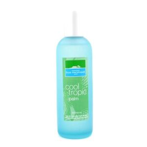 Cool Tropic Palm Comptoir Sud Pacifique