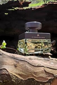 Cordovan Banana Republic