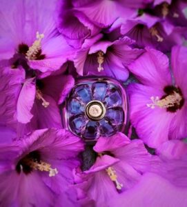 Covet Pure Bloom Sarah Jessica Parker