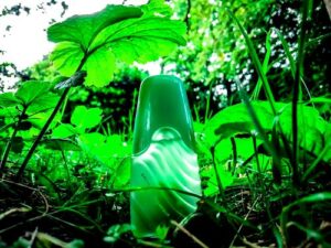 Creation The Vert Ted Lapidus