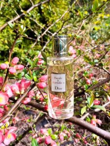 Cruise Collection – Escale a Portofino Dior