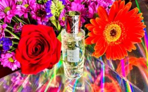 Cruise Collection Escale a Pondichery Dior