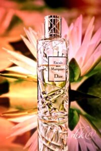 Cruise Collection Escale Aux Marquises Dior