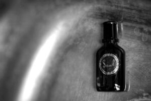 Curve Soul for Men Liz Claiborne