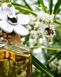 Eau du Soir 2008 Sisley