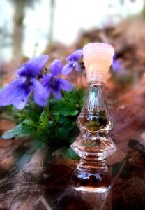 Dalissime Salvador Dali