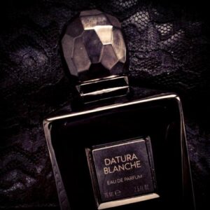 Datura Blanche Keiko Mecheri