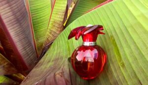 Delices De Cartier Eau de Parfum Cartier