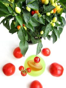 Desperate Housewives Forbidden Fruit Coty