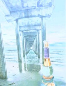 Dianoche Ocean Daisy Fuentes