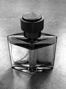 DKNY Men 2009 Donna Karan