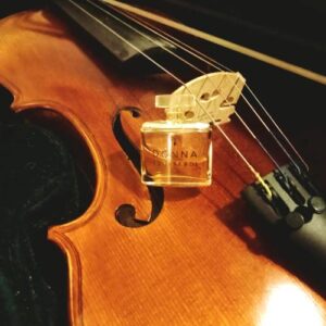 Donna Trussardi Trussardi