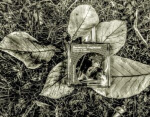 Drops of Me Neotantric