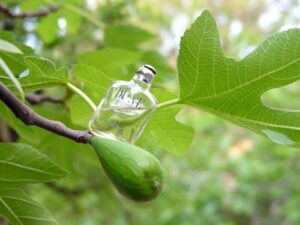 Dune Pour Homme Dior