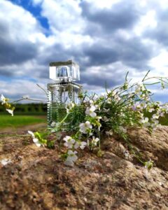 Eau de Lalique Lalique