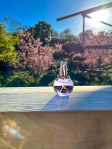 Eclat d’Arpege Lanvin