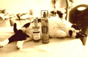 Egg Nog Demeter Fragrance