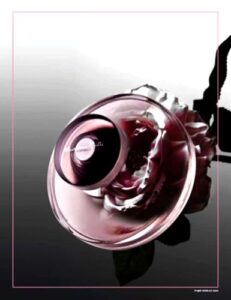 En Esencia Massimo Dutti