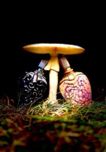 Escada Collection Escada