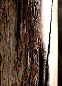 Essence Wenge Donna Karan