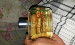 Essential Lacoste Fragrances