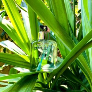 Eternity For Men Summer 2005 Calvin Klein