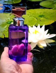 Eternity Purple Orchid Calvin Klein