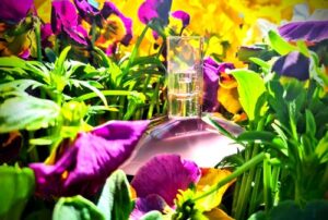 Euphoria Blossom Calvin Klein
