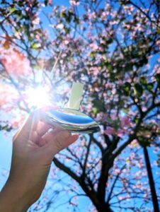 Euphoria Calvin Klein