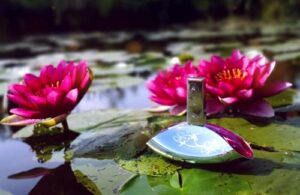 Euphoria Crystalline Calvin Klein