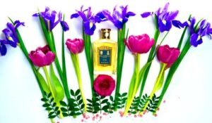 Fleur Floris