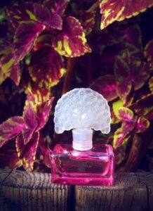 Flight Of Fancy Anna Sui