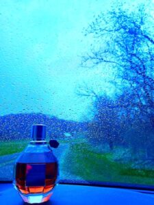 Flowerbomb Viktor&Rolf