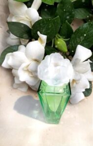 Gardenia Elizabeth Taylor