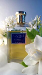 Gardenia Floris