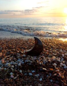 Ghost Deep Night Ghost