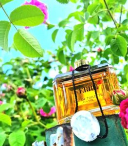 Gianfranco Ferre Gianfranco Ferre