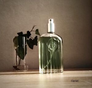 Giorgio for Men Giorgio Beverly Hills