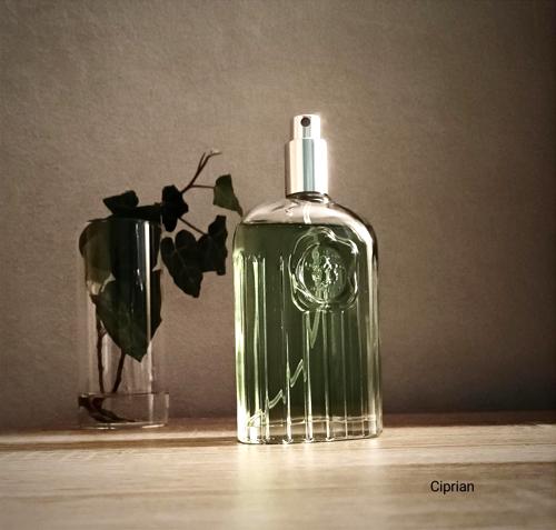 giorgio giorgio beverly hills