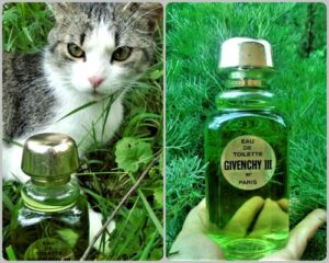 Givenchy III Givenchy