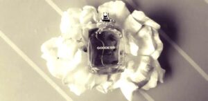 Goddess Hommage a Greta Garbo Grès