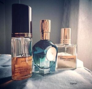 Gucci Pour Homme (1976) Gucci