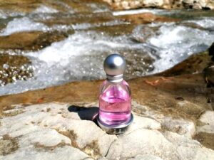 Halloween Kiss Sexy Halloween