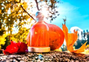 Halloween Sun Halloween