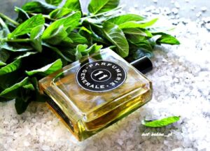 Harmatan Noir 11 Pierre Guillaume Paris