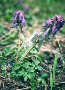 Hermessence Brin de Reglisse Hermès